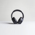 Noise cancelling earphones
